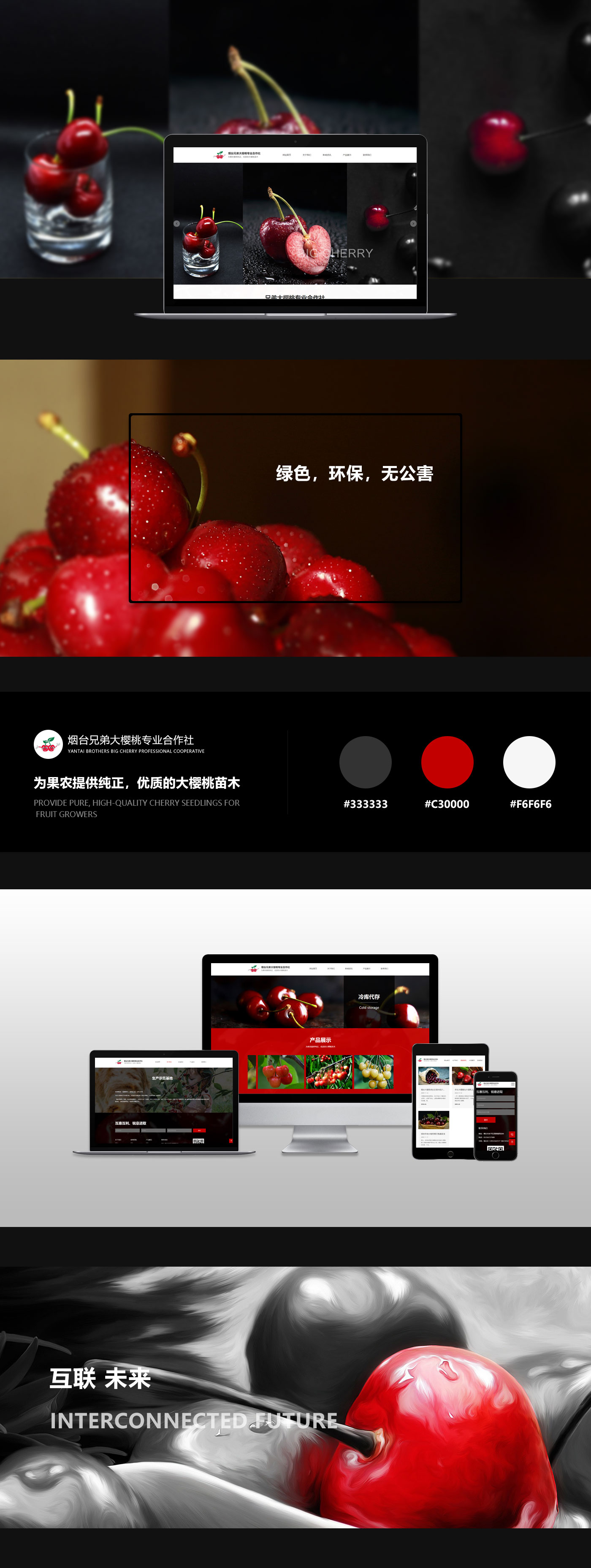 萊山(shān)區(qū)兄弟(dì)大櫻桃專業合作(zuò)社(圖1)